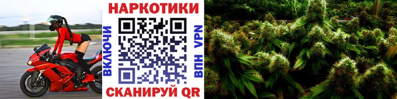 Где купить Бавлы МДМА Кокаин Alpha-PVP Меф Марихуана Амфетамин Галлюциногенные грибы