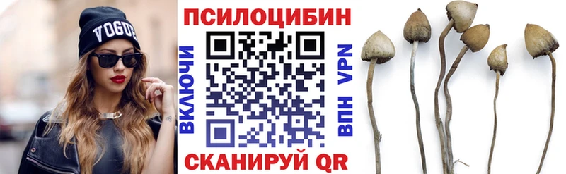 цена Бавлы Галлюциногенные грибы GOLDEN TEACHER